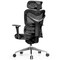 Ergonomic Mesh Adjustable High Back Office Chair with Lumbar Support-Black